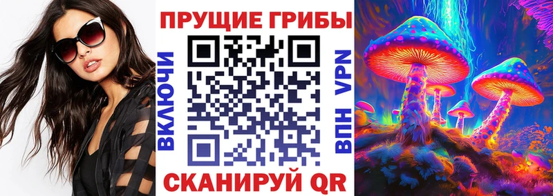 Галлюциногенные грибы мухоморы  Циолковский 